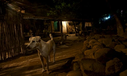 Over the last 20 years, more than 420 people in Mumbai have died from rabies as the result of a dog bite.