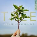 The artwork for Tree by The Hermes Experiment.