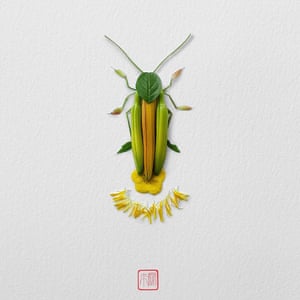 An illustration by artist Raku Inoue who uses garden waste including sticks, seeds and petals, to create his Natura Insects series.