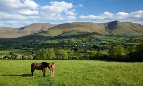 Edenic comforts of soft green hills … Tipperary.