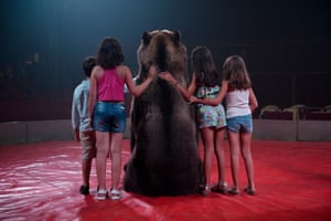 Oso Pardo posa con niños en un circo, España