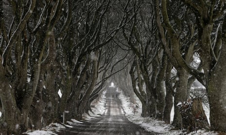 Dark Hedges, County Antrim