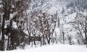 A view of snow covered trees and mountains after a recent snow fall on 31 January, 2020.
