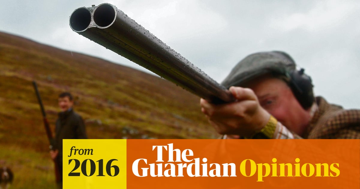 The grouse shooters aim to kill: the first casualty is the truth | George Monbiot The grouse shooters aim to kill: the first casualty is the truth | George Monbiot