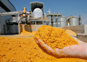 Distillers Dried Grains, DDG, which is a byproduct of the alcohol process at the Commonwealth Agri-Energy Ethanol plant in Hopkinsville, KY.