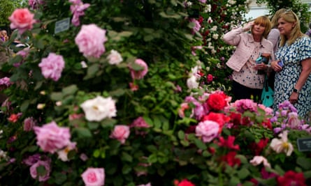 Les visiteurs regardent une exposition de roses dans le Grand Pavillon du RHS Chelsea Flower Show à Londres.