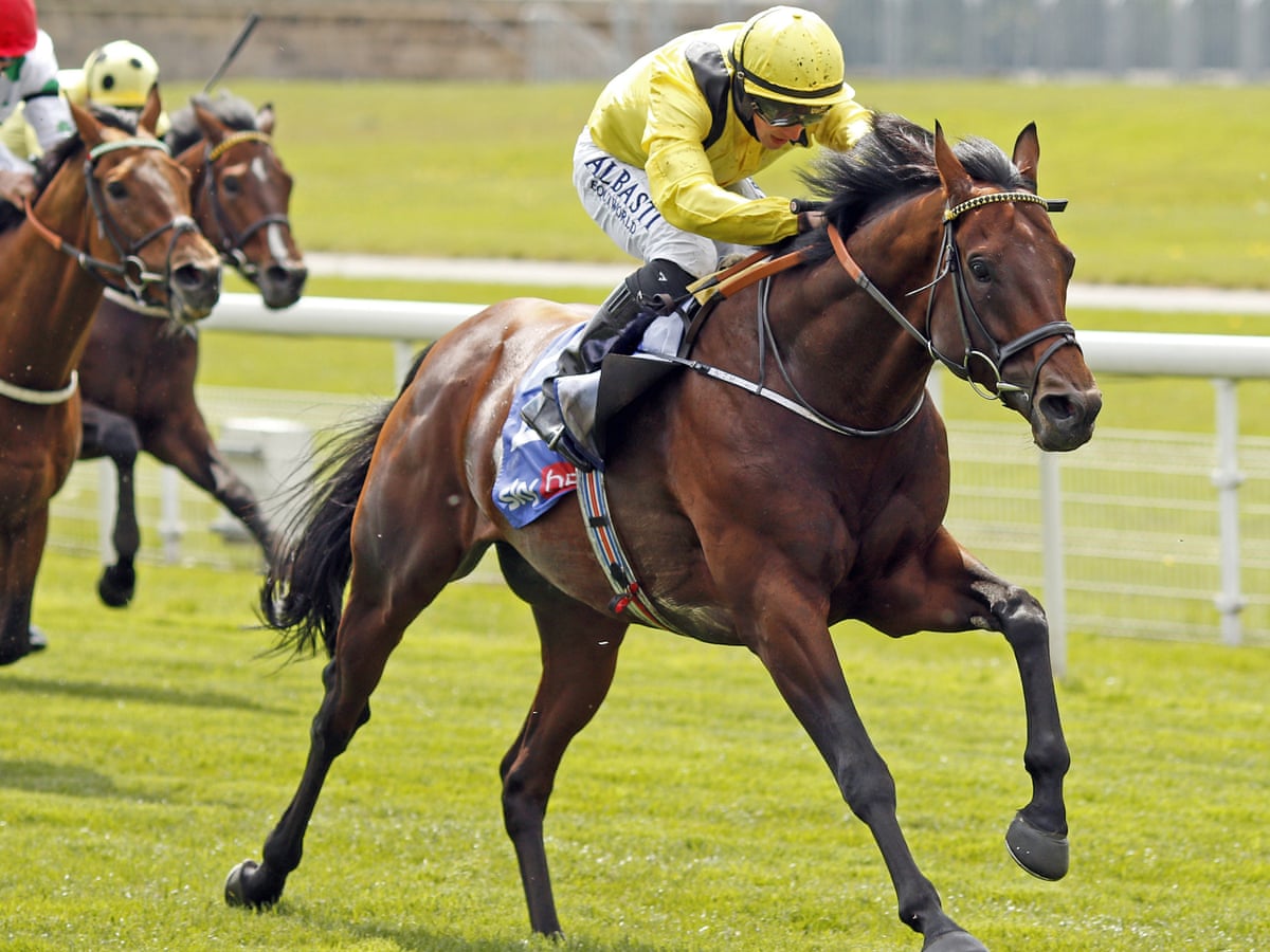 Dooley Thoroughbreds Best Horse Racing Syndicate