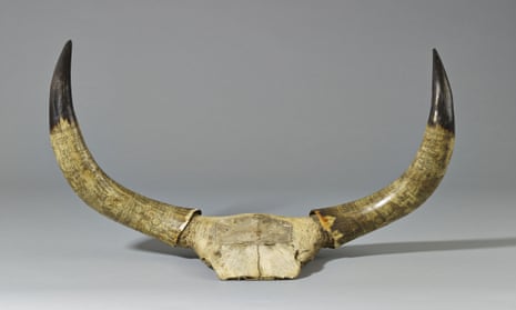 A history of human struggle and sacrifice … a set of 19th-century Zulu carved ox horns, from South Africa: The Art of a Nation.