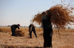 Already there is a shortfall of a fifth in wheat supplies, the UN says.