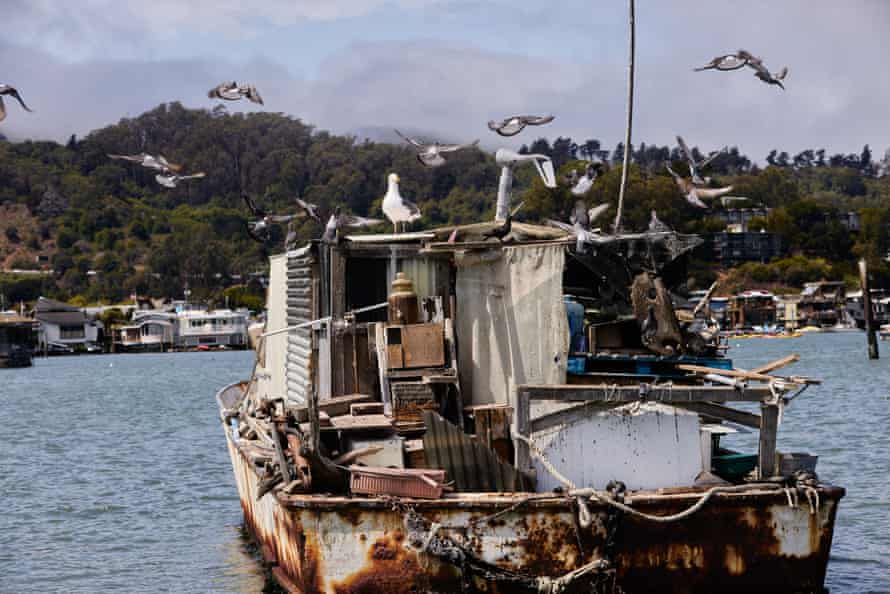 Seagulls flock around a boat.
