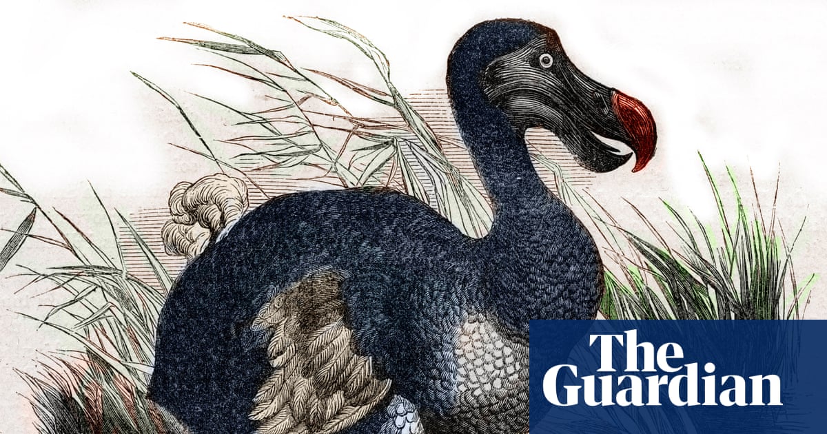 Dodo birds could roam again, claim scientists, as they report pigeon gene-editing advance