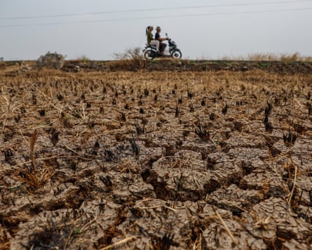 Drought forces Indonesian villagers to collect water from dried-up creeksepaselect epa13245048 A motorist rides a motorbike near dried-up paddy fields in Jonggol, West Java, Indonesia, 17 September 2026. The El Nino-affected drought has forced villagers to collect water for household use from dried-up creeks, while more than 700 hectares of rain-fed rice fields in the area could not be planted. According to the Meteorology, Climatology, and Geophysics Agency (BMKG), the El Nino-affected climate has caused extended drought conditions and increased the risk of wildfires across the country. EPA/MAST IRHAM