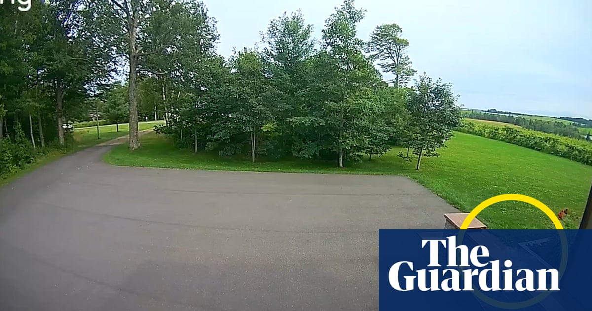 Rare footage captures meteorite descending to Earth on doorbell camera – video Rare footage captures meteorite descending to Earth on doorbell camera – video