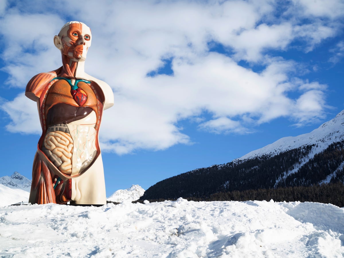 Damien Hirst: 'I flirted with the idea of pickling people' | Art | The Guardian