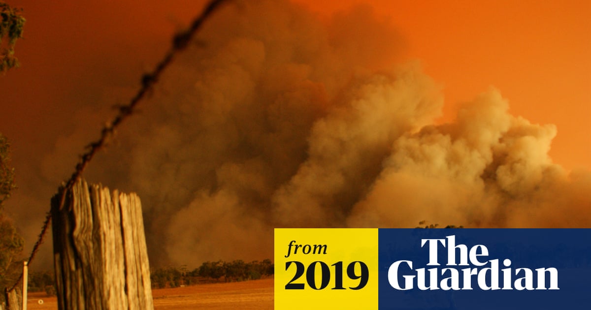 On the arsonist’s trail: inside Australia’s worst bushfire catastrophe