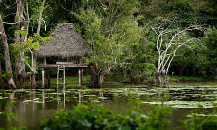 A raised hut in water with lotus plants
