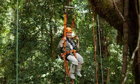  Judi Dench is hoisted up one of the tallest trees in the forest (higher than Nelson’s Column).