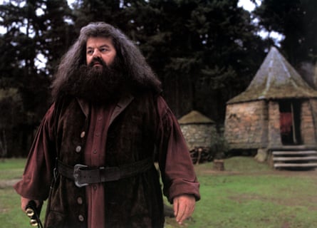 Robbie Coltrane as Hagrid the half-giant