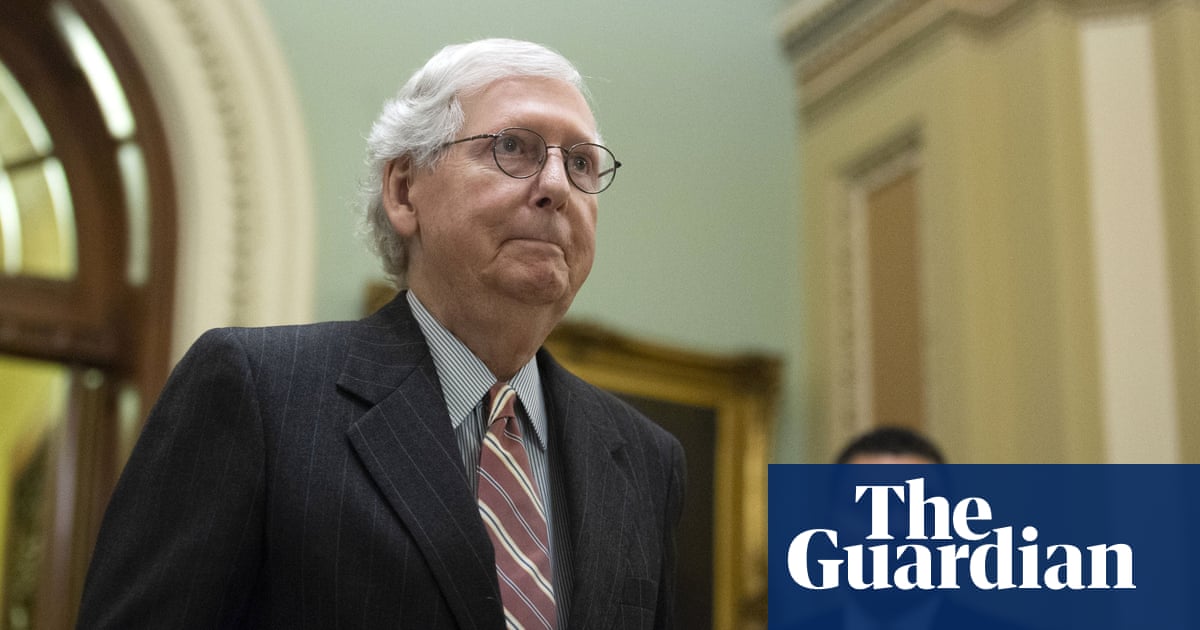 McConnell will ‘make Biden a moderate’ if Republicans retake Congress