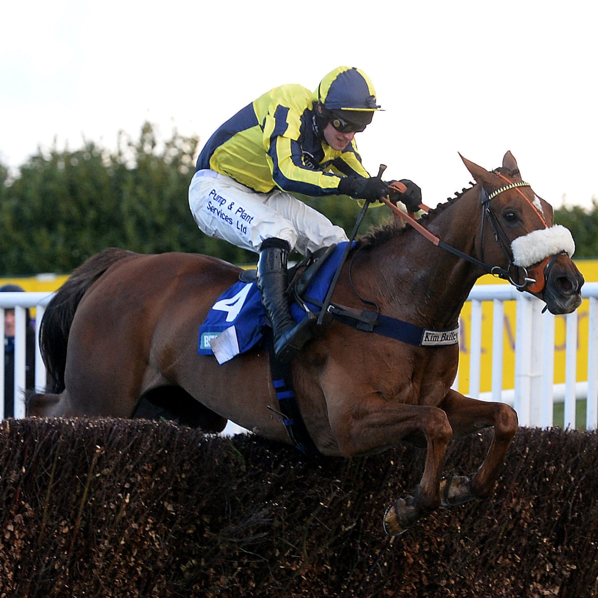 Length of grand canyon national park Length of grand canyon national park