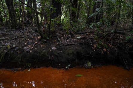 Water next to a muddy bank with trees on it.
