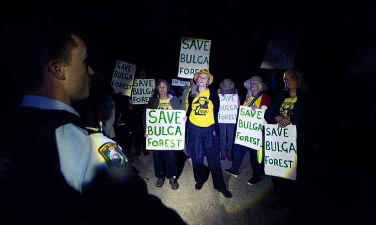 Environment summit taking place in Sydney while greater glider habitat is logged is ‘bullshit’, advocates say Conservationists protest against logging at the Bulga state forest in NSW on Tuesday as the nature-positive summit got under way in Sydney. Photograph: Amber L Hall
