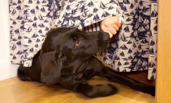 A tussle in the changing rooms at Seasalt Cornwall.