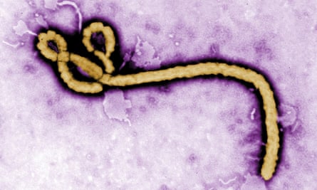 Ebola is just one of the many threats that humanity has faced in recent years.