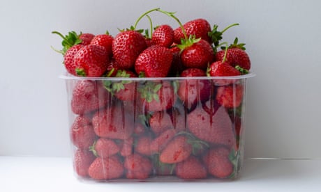 Strawberries instead of bin liners: poll reveals strange supermarket delivery substitutions
