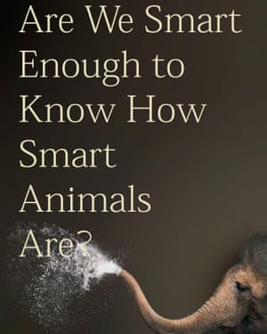 Best Books Of 2016 Part Two Books The Guardian