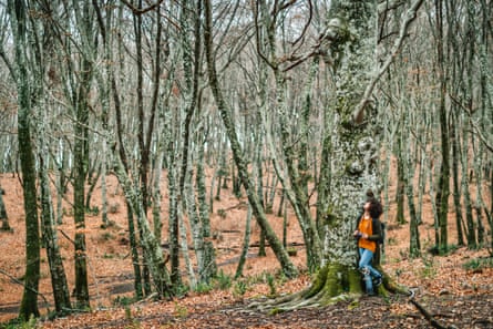 ‘If someone calls your name from the trees, don’t look’: Erin E Adams’s brilliant Jackal