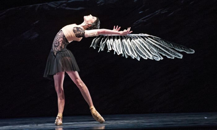lyserød cilia utilsigtet hændelse Tarred and feathered: the blackest visions of Swan Lake | Swan Lake | The  Guardian