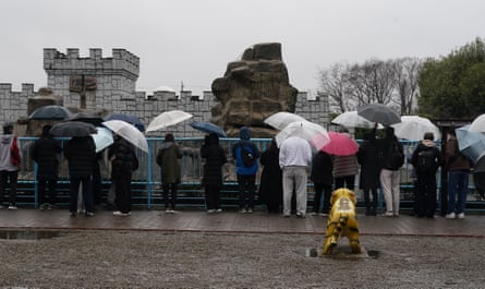 Visitors gather at Ichikawa city zoo to watch Punch at the Japanese macaque area.