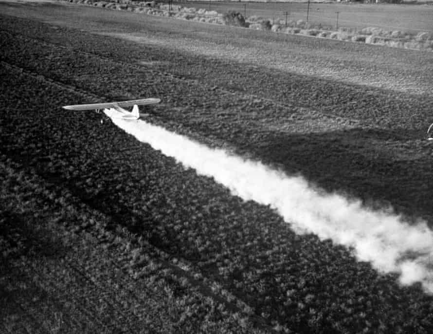 A plane spraying alfalfa fields with DDT in California’s Imperial Valley in 1947.