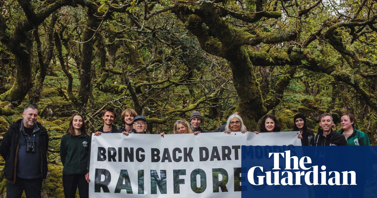 ‘A gesture towards nature’: call for Dartmoor’s temperate rainforest to double in size
