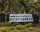 ‘Let these amazing forests come back to life’; push to expand England’s rainforest