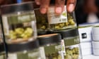 Cannabis firms are cut off from the US financial system, but relief is in sight
