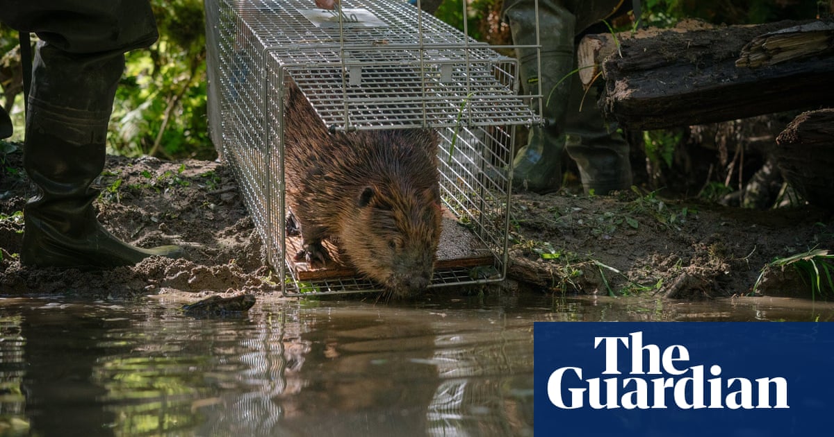 2250.jpg?width=1200&height=630&quality=8