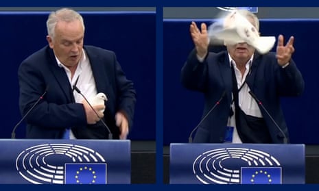 Confusion after MEP releases 'peace dove' from bag