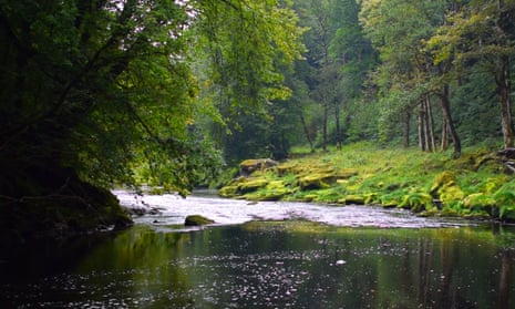 A stretch of the River Wharfe, near Bolton Abbey, in the Yorkshire Dales, flows between wooded banks.