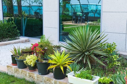 Outdoors flower pots on a balcony garden