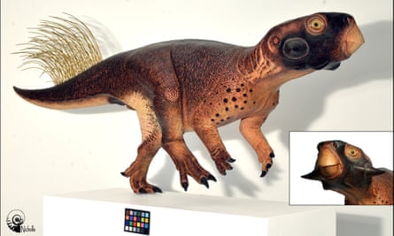 The most accurate reconstruction yet made of a dinosaur: Psittacosaurus by Robert Nicholls.