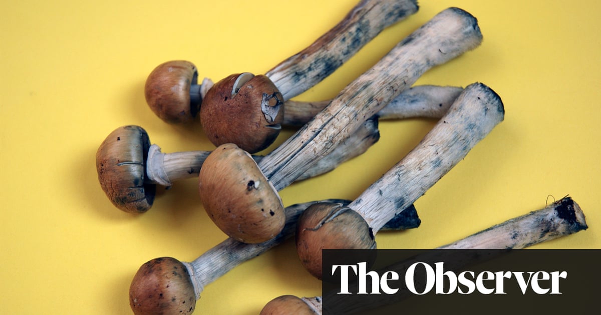 Review of Psychedelic Outlaws by Joanna Kempner: An Intriguing Argument for the Therapeutic Use of Magic Mushrooms in Pain Management | Books on Health, Mind, and Body Review of Psychedelic Outlaws by Joanna Kempner: An Intriguing Argument for the Therapeutic Use of Magic Mushrooms in Pain Management | Books on Health, Mind, and Body