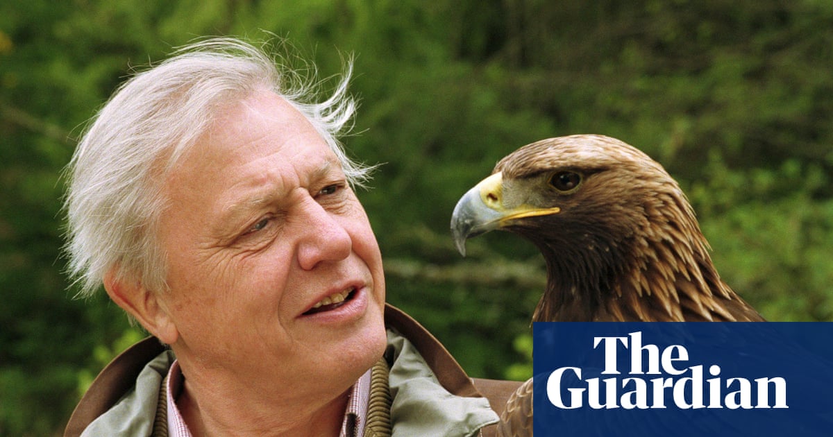 David Attenborough at 90 a TV legend’s top 10 moments David Attenborough The Guardian David Attenborough at 90 a TV legend’s top 10 moments David Attenborough The Guardian