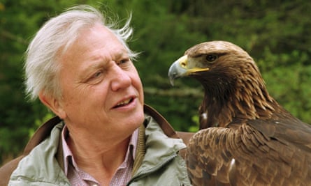 David Attenborough avec un aigle royal dans The Life of Birds (1998).