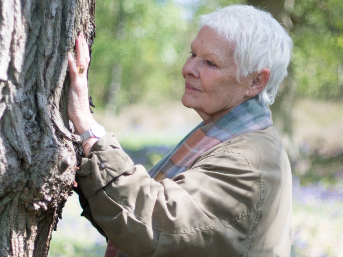 Judi Dench My Passion For Trees Exposing The Dame S Private Shrubbery Trees And Forests The Guardian Judi Dench My Passion For Trees Exposing The Dame S Private Shrubbery Trees And Forests The Guardian