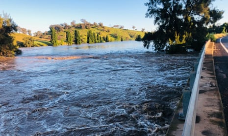 Australia information reside: evacuation orders for Forbes as central-west NSW faces main floods | Australia information 4 Flooding at Larras Lee near Molong in central west NSW, Australia on Monday.