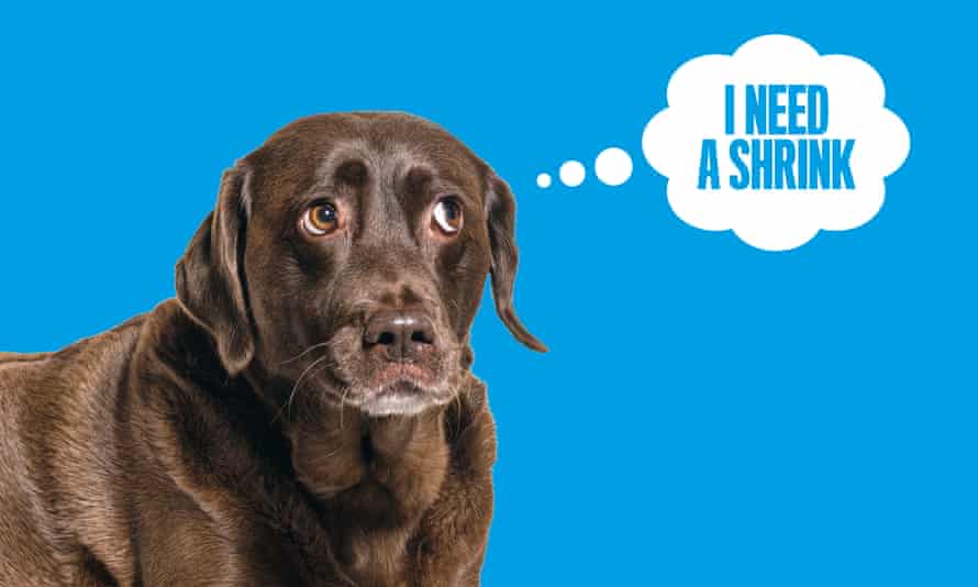 dog with “I need a shrink” speech bubble
