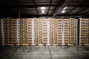 Produce at the Second Harvest Food Bank in San Jose, California.