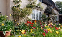 Flowers in bloom in the garden of a thatched cottage